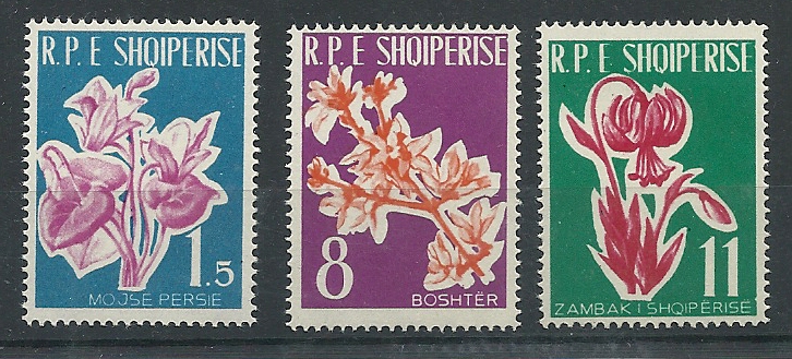 1961_633_635.jpg