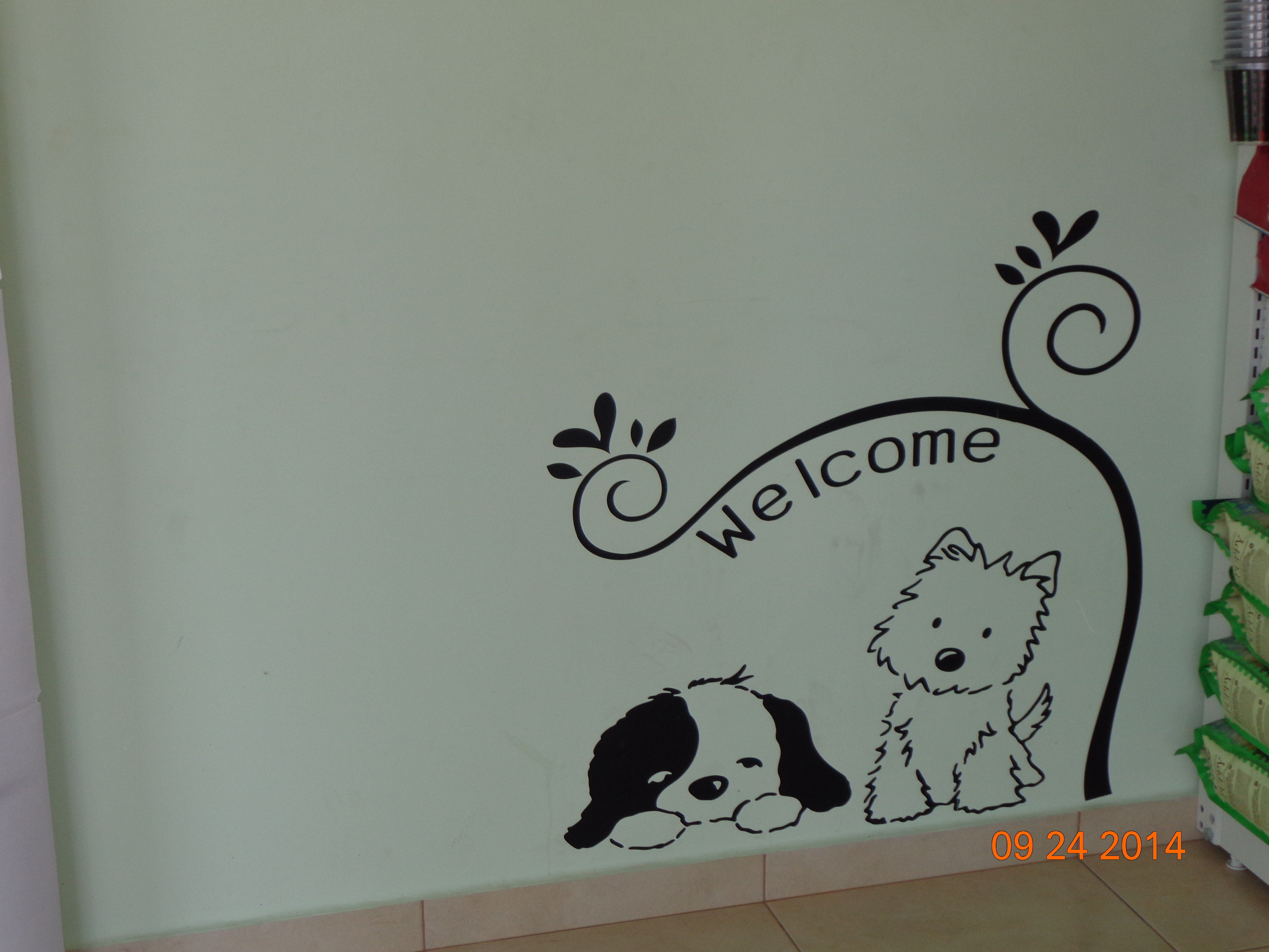 DSC00916.JPG