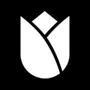 La Tulipe