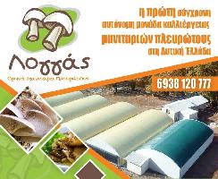ΜΑΝΙΤΑΡΙΑ ΛΟΓΓΑΣ