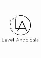 LEVEL ANAPLASIS (Μιχαλάκη Γεωργία Α.)
