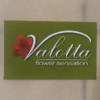 VALOTTA - ΘΕΟΔΟΣΙΟΥ ΒΑΛΙΑ