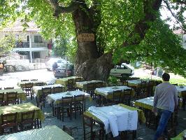ΠΛΑΤΑΝΟΣ (Κουστουλίδης Αλέξανδρος Λ.)