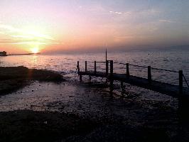 ΛΥΚΟΣ (Χουδαβερδόγλου Χαράλαμπος Ι.) - Ψητοπωλείο & Ψαροταβέρνα