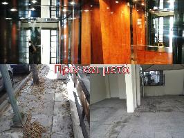 ΕΥΩΔΙΑ (Πάλμος Νικόλαος Ε.)