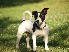 »ΛΟΥΡΙΔΑ ΑΓΓΕΛΙΚΗ