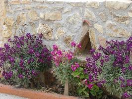 ΑΡΑΒΑΝΕΣ (Παπουτσάκη Ελευθερία)