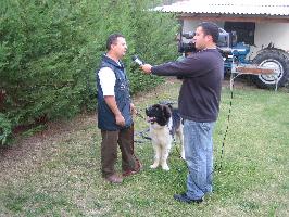 ΓΟΥΛΑΣ ΣΠΥΡΟΣ 