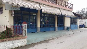 ΒΟΡΝΙΤΗΣ ΠΑΣΧΑΛΗΣ